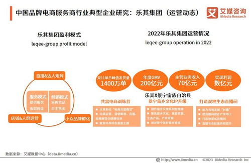 2023年中國品牌電商服務(wù)商行業(yè)研究報(bào)告 信息技術(shù)咨詢服務(wù)的機(jī)遇與挑戰(zhàn)